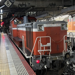 DD51 1193でした．北海道でよく乗った寝台列車で使われていた車番と近い．.jpeg