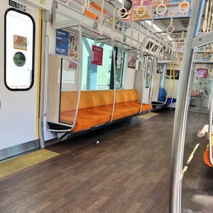 秦野駅．ほとんど誰も乗ってない．.jpeg