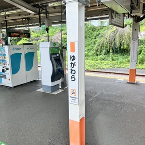 湯河原．湯河原といえば，マリブグランプリと五月みどり．今は湯河原を離れて都内暮らしらしい．.jpeg