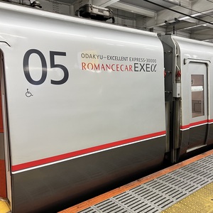 ロマンスカーは新百合ヶ丘到着．今日はここで下車．.jpeg