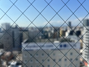 IMG_7013.jpeg
