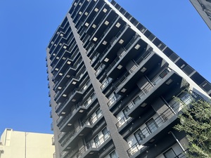 IMG_7017.jpeg