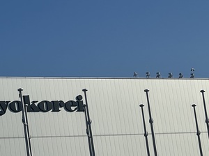IMG_7039.jpeg