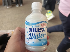 IMG_7071.jpeg