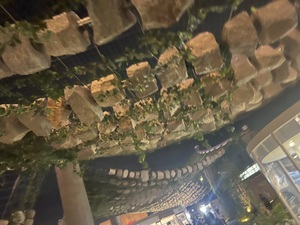 IMG_7091.jpeg