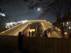 IMG_7117.jpeg