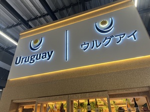 IMG_7142.jpeg
