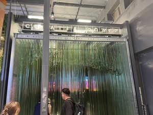 IMG_7150.jpeg