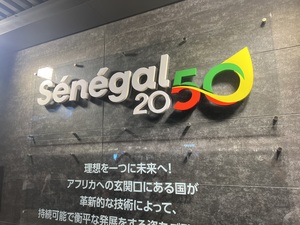 IMG_7168.jpeg