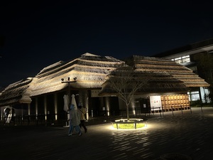 IMG_7211.jpeg