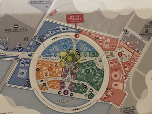 IMG_7234.jpeg