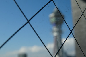DSC04741.JPG