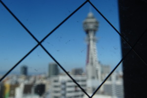 DSC04766.JPG
