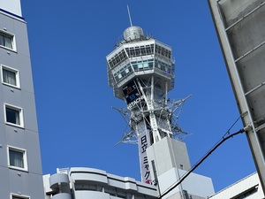 IMG_7279.jpeg