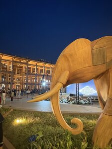 IMG_0091.JPG