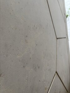 IMG_0121.JPG