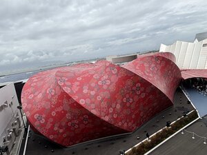 IMG_0124.JPG