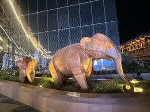 IMG_0133.JPG