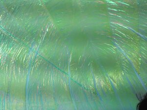 IMG_0140.JPG