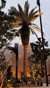 IMG_0156.JPG