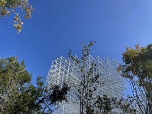 IMG_0173.JPG