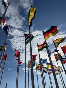 IMG_0197.JPG