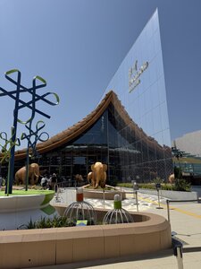 IMG_0203.JPG