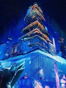 IMG_0218.JPG