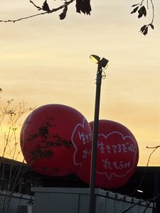 IMG_0228.JPG