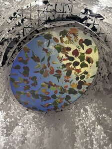 IMG_0237.JPG