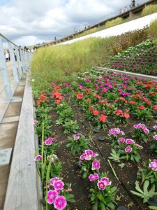 IMG_0310.JPG