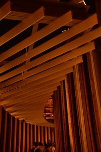 IMG_0320.JPG