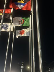 IMG_0331.JPG