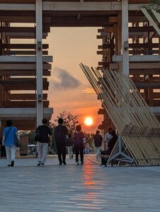 IMG_0337.JPG