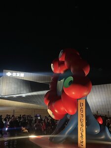 IMG_0351.JPG