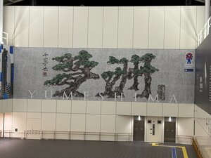 IMG_0486.JPG