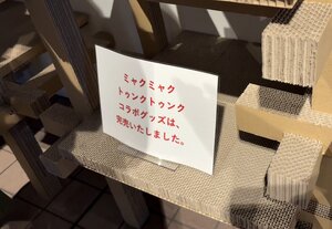 IMG_0503.JPG