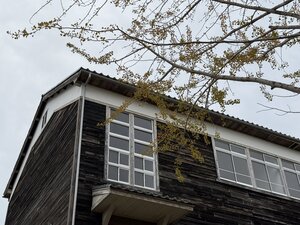 IMG_0582.JPG