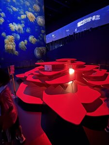 IMG_0630.JPG