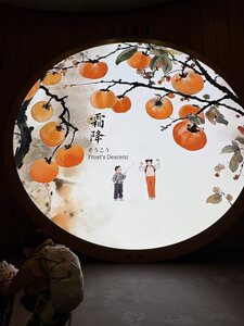 IMG_6712.JPG