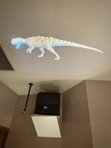 IMG_6762.JPG
