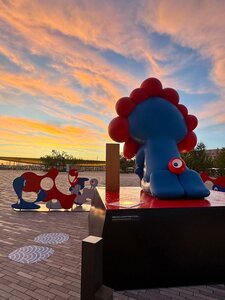 IMG_6804.JPG