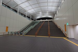 IMG_6810.JPG
